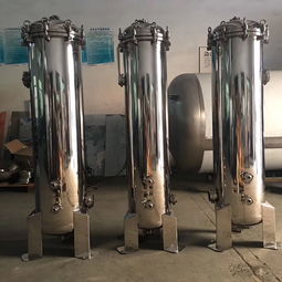 不銹鋼精密過(guò)濾器 卡箍式法蘭吊環(huán) 5芯30寸 大流量濾芯式過(guò)濾器 預(yù)過(guò)濾